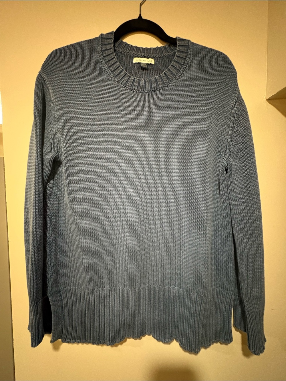 American Eagle Outfitters Blue Crewneck Sweater